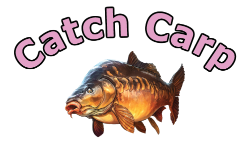 Catch Carp